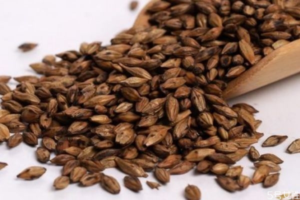 大麦茶有回奶的功效吗?,大麦茶有没有回奶的功效 大麦茶有回奶的功效吗?,大麦茶有没有回奶的功效