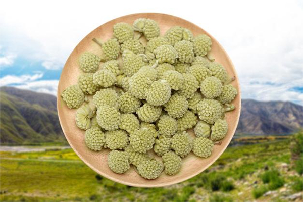 绿萝花茶可以减肥吗,绿茶能减肥吗