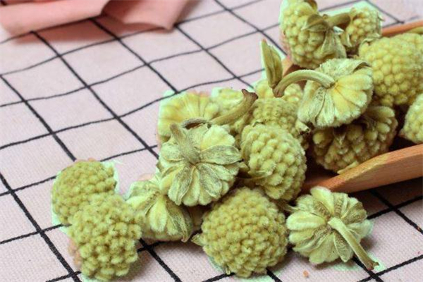 绿萝花茶哪种人不能喝,喝绿萝花茶有什么好处 绿萝花茶哪种人不能喝,喝绿萝花茶有什么好处