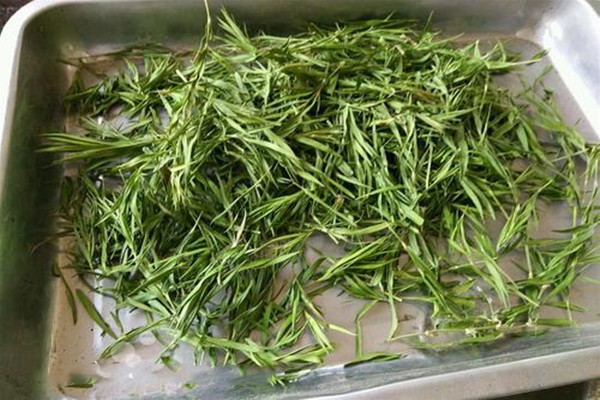 月经期能喝石竹茶吗,月经期间能喝竹叶茶吗