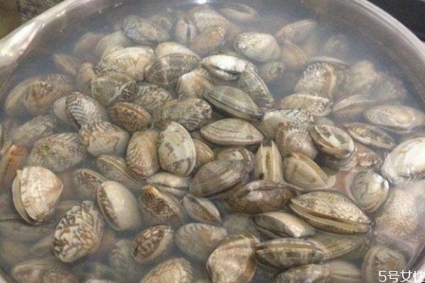 如何选花甲新鲜,花甲挑选技巧