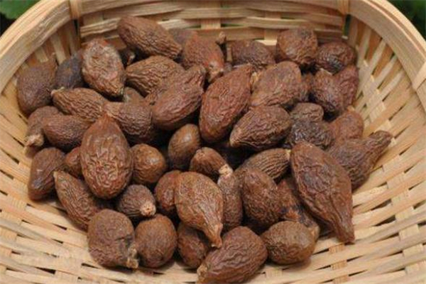 胖大海可以治咳嗽吗?,胖大海对咳嗽有效果吗