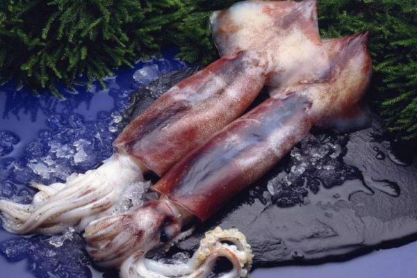 减肥可以吃鱿鱼吗?热量高吗?,减肥可以吃鱿鱼吗?