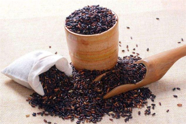 黑糯米茶什么人不能喝,黑糯茶适合什么时候喝 黑糯米茶什么人不能喝,黑糯茶适合什么时候喝