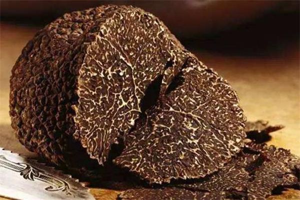黑松露的功效和作用,黑松露的功效作用和营养价值