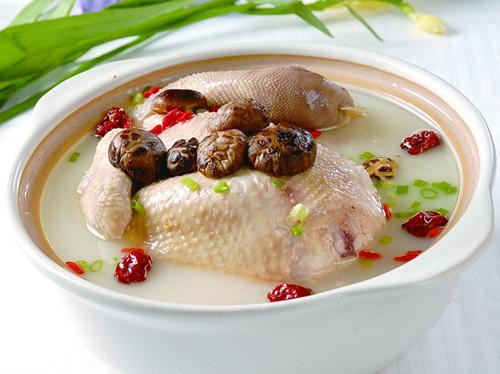 滋补鸡汤的做法大全,滋补鸡汤的做法补气血