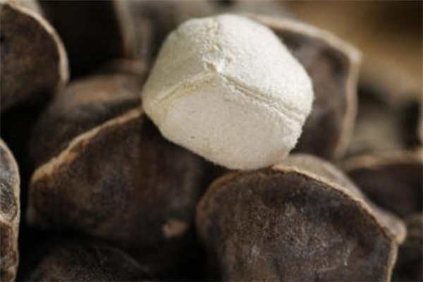 辣木籽能解酒吗,辣木籽喝酒前吃真的管用吗