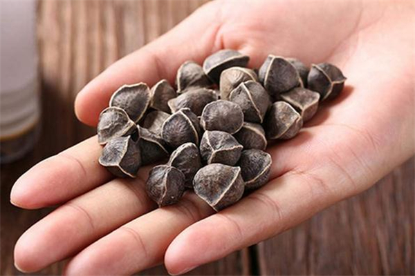 辣木籽每天吃30颗可以吗,一次吃30粒辣木籽会怎样