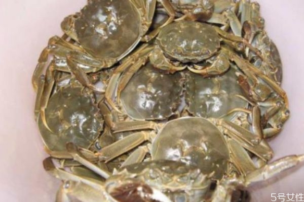 怎么样清洗螃蟹,螃蟹怎么样清洗干净