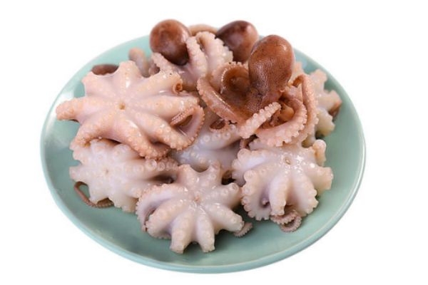 小八爪鱼怎么清洗,八爪鱼如何清洗