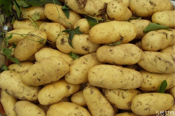 土豆发青去掉皮能吃吗知乎,土豆发青去掉皮能吃吗扔掉太可惜了