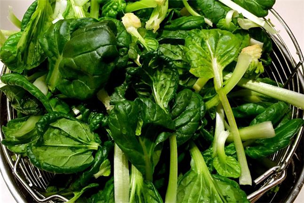 菊花菜的功效和作用禁忌,菊花菜的功效和作用禁忌人群