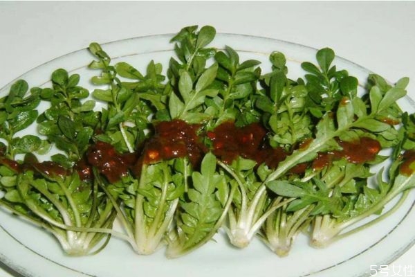 芥菜苦是怎么回事,芥菜是苦的吗