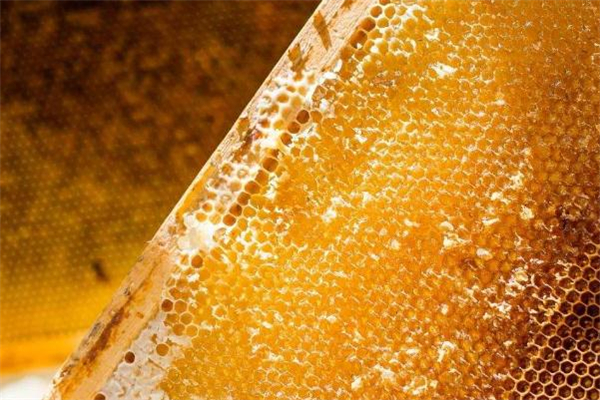 蜂胶品牌排行榜前十名,国产蜂胶品牌前十名