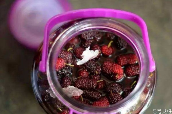 桑葚泡酒可以喝吗,泡了酒的桑葚可以直接吃吗 桑葚泡酒可以喝吗,泡了酒的桑葚可以直接吃吗