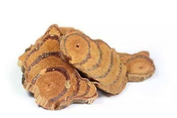 鸡血藤是什么样的图片,鸡血藤是什么植物