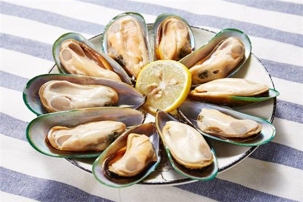 青口贝吃多了会胖吗,青口贝吃多了会怎么样