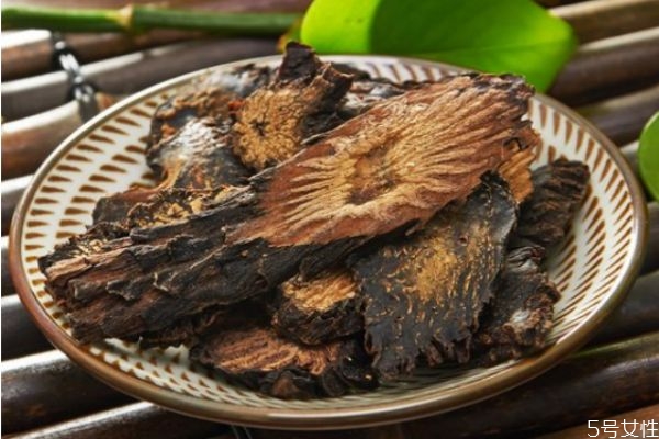肉苁蓉应该怎么吃才好,肉苁蓉怎么吃壮阳