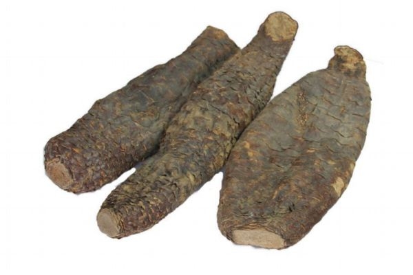 肉苁蓉茶有什么功效,肉苁蓉茶的功效和作用及食用方法