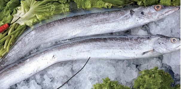 红烧带鱼怎么做好吃又简单,红烧带鱼怎么做好吃又简单教视频