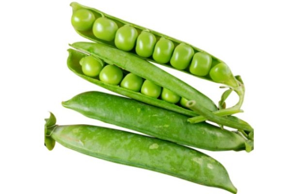 青豆怎么做好吃又简单,菜豆怎么做好吃