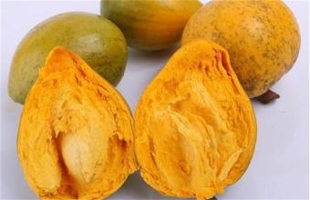 蛋黄果没熟可以吃吗,蛋黄果没有成熟能吃吗