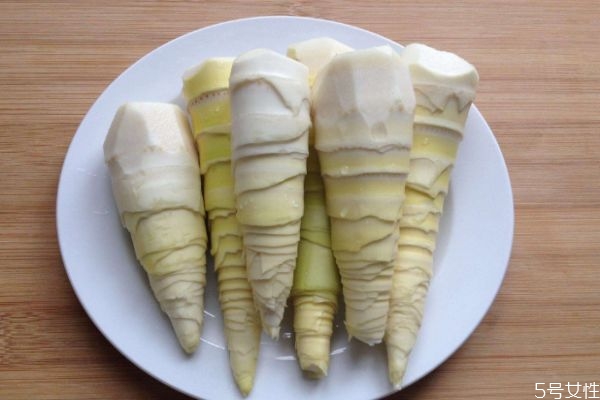 春笋什么时候长出来,春笋什么时候长出来图片