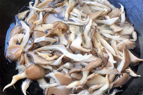 减肥期间能吃平菇吗,减肥可以吃香菇吗 减肥期间能吃平菇吗,减肥可以吃香菇吗