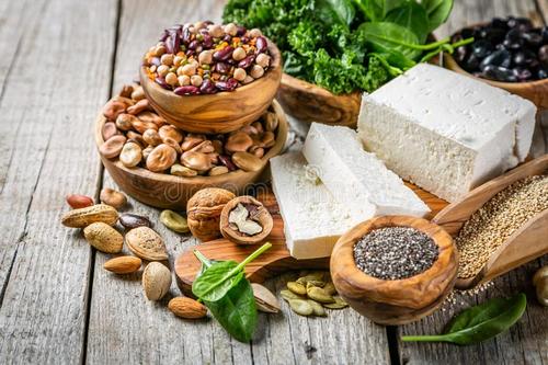 植物蛋白和动物蛋白的区别在哪里,动物蛋白和植物蛋白哪个更好