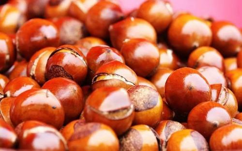 毛栗子是不是发的,栗子长毛了