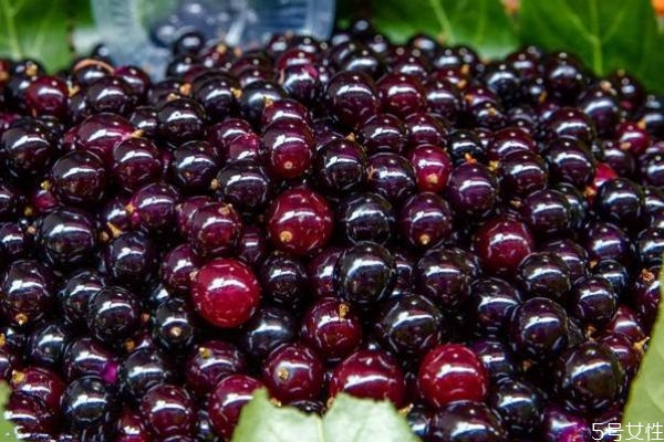 乌梅的药用价值和功效,乌梅的药用价值和副作用 乌梅的药用价值和功效,乌梅的药用价值和副作用