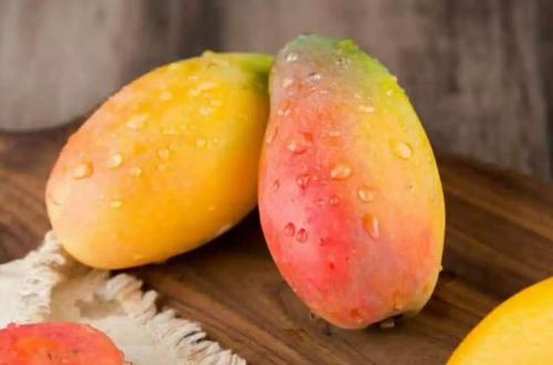 贵妃芒几月份好吃,贵妃芒果成熟的季节是几月