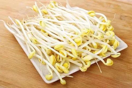 绿豆芽炒蒜苗怎么做好吃,绿豆芽炒蒜苗怎么做窍门