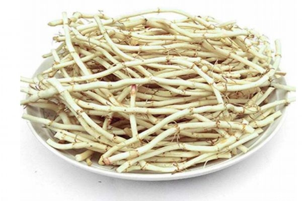折耳根是不是鱼腥草,折耳根和鱼腥草一样吗?