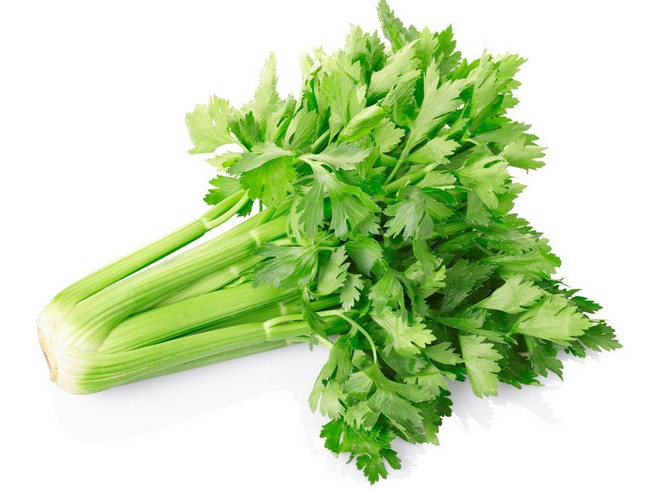 芹菜为什么是感光食物,芹菜是不是感光食物