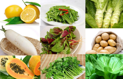 常见的感光食物有哪些,感光食物有哪些