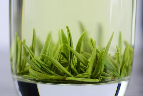 庐山云雾茶的功效和禁忌,庐山云雾茶的功效