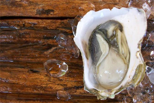 生蚝生吃有营养吗,生蚝有营养么