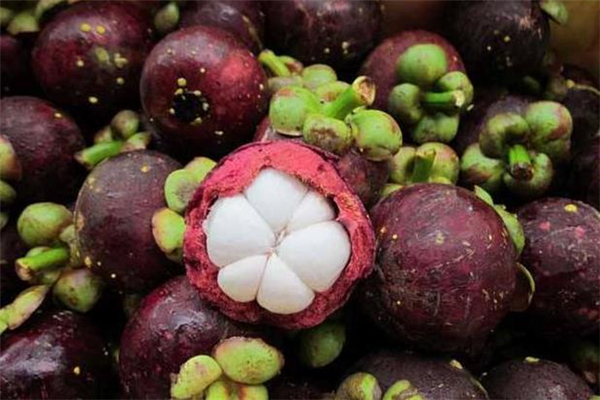 山竹冷藏能保存多久,山竹可以保存多久 山竹冷藏能保存多久,山竹可以保存多久