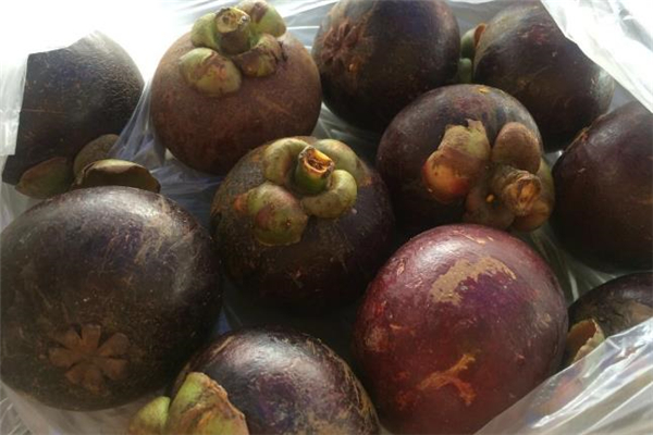 山竹冷冻后还能吃吗,山竹冻冷冻后还能吃吗