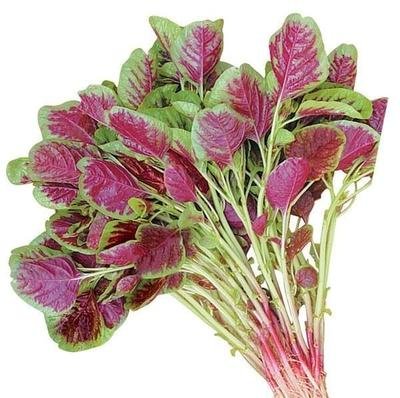 成年男性一天吃多少肉,成年男性一天吃多少东西
