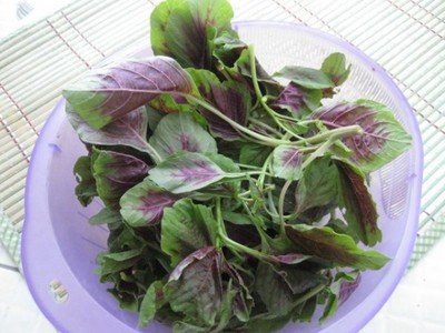 苋菜的做法大全家常,苋菜怎么做