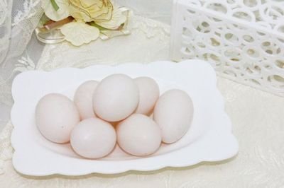 一个鸽子蛋有多重,一只鸽子蛋多少重