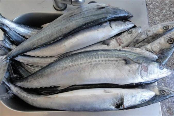 吃鲐鲅鱼过敏怎么办,吃鲅鱼过敏怎么办