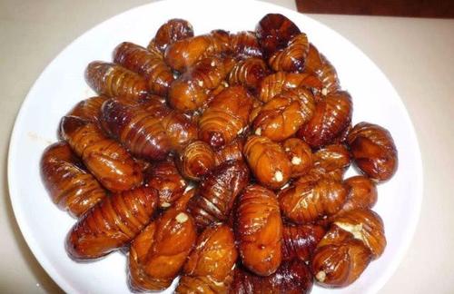 蚕蛹一天吃多少最佳,正常人一天吃多少个蚕蛹为好