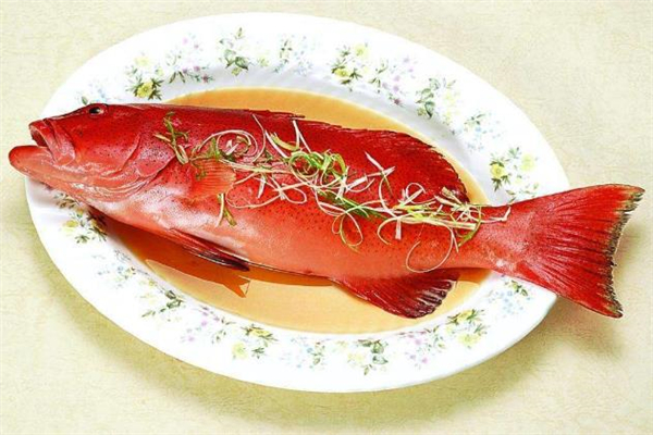 红石斑鱼的做法大全家常做法,红石斑鱼的做法及图片
