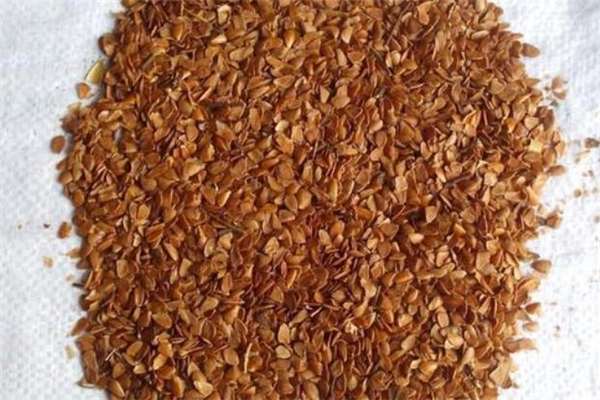 香椿子泡水喝有什么作用,香椿子煮水喝有什么功效