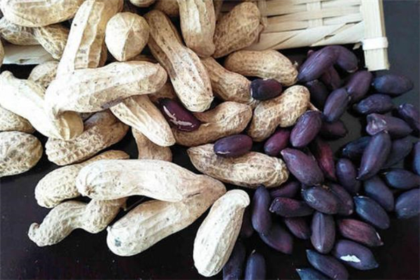 黑皮花生的皮能吃吗,黑皮花生的皮可以吃吗