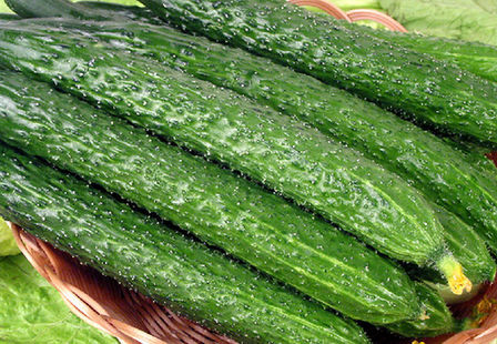 黄瓜小米粥的做法,黄瓜煮粥怎么做好吃 黄瓜小米粥的做法,黄瓜煮粥怎么做好吃