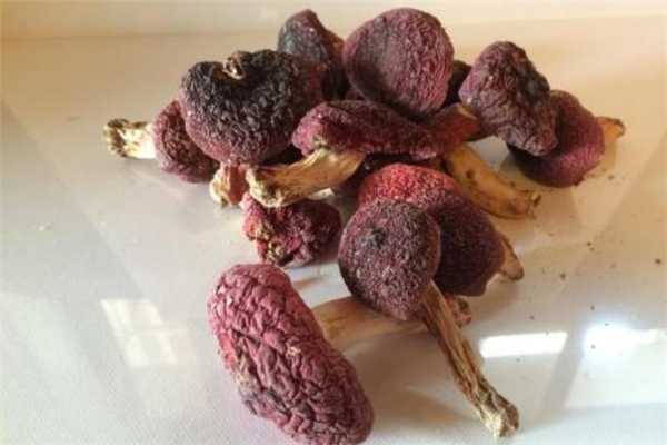 红蘑菇能治肺癌吗,菌菇能治疗肺癌吗 红蘑菇能治肺癌吗,菌菇能治疗肺癌吗